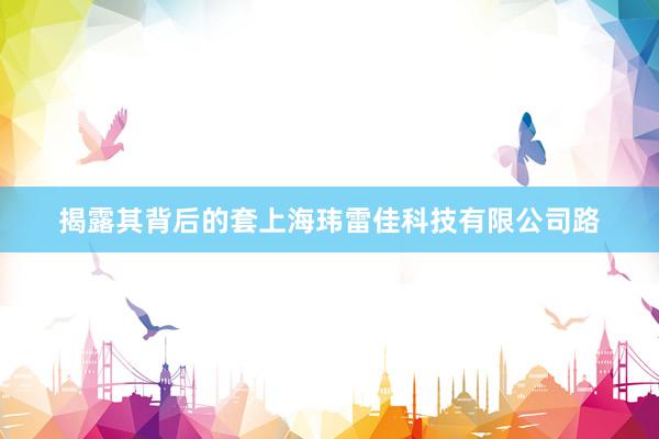 揭露其背后的套上海玮雷佳科技有限公司路