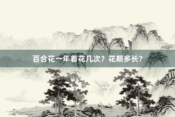 百合花一年着花几次?花期多长?